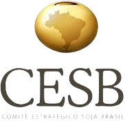 2025.3 – Module 11: – Class 09 – CESB